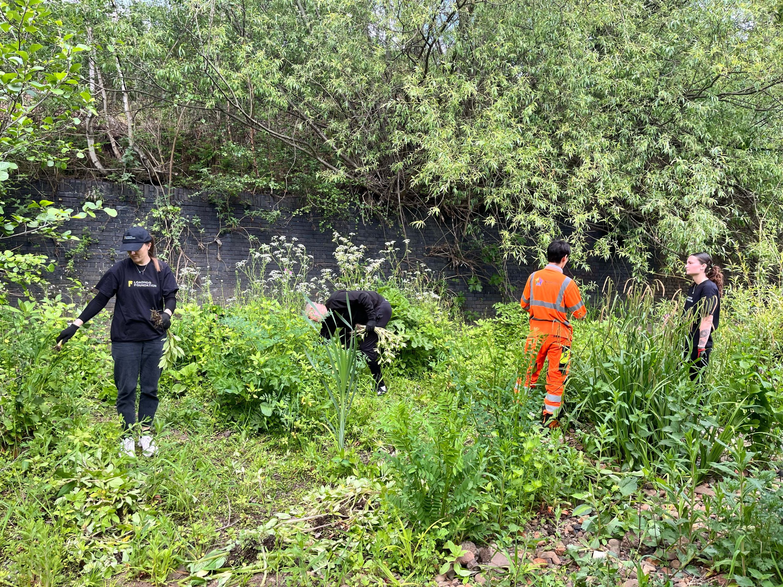 Loadhog employees cleaning the banks of the River Don