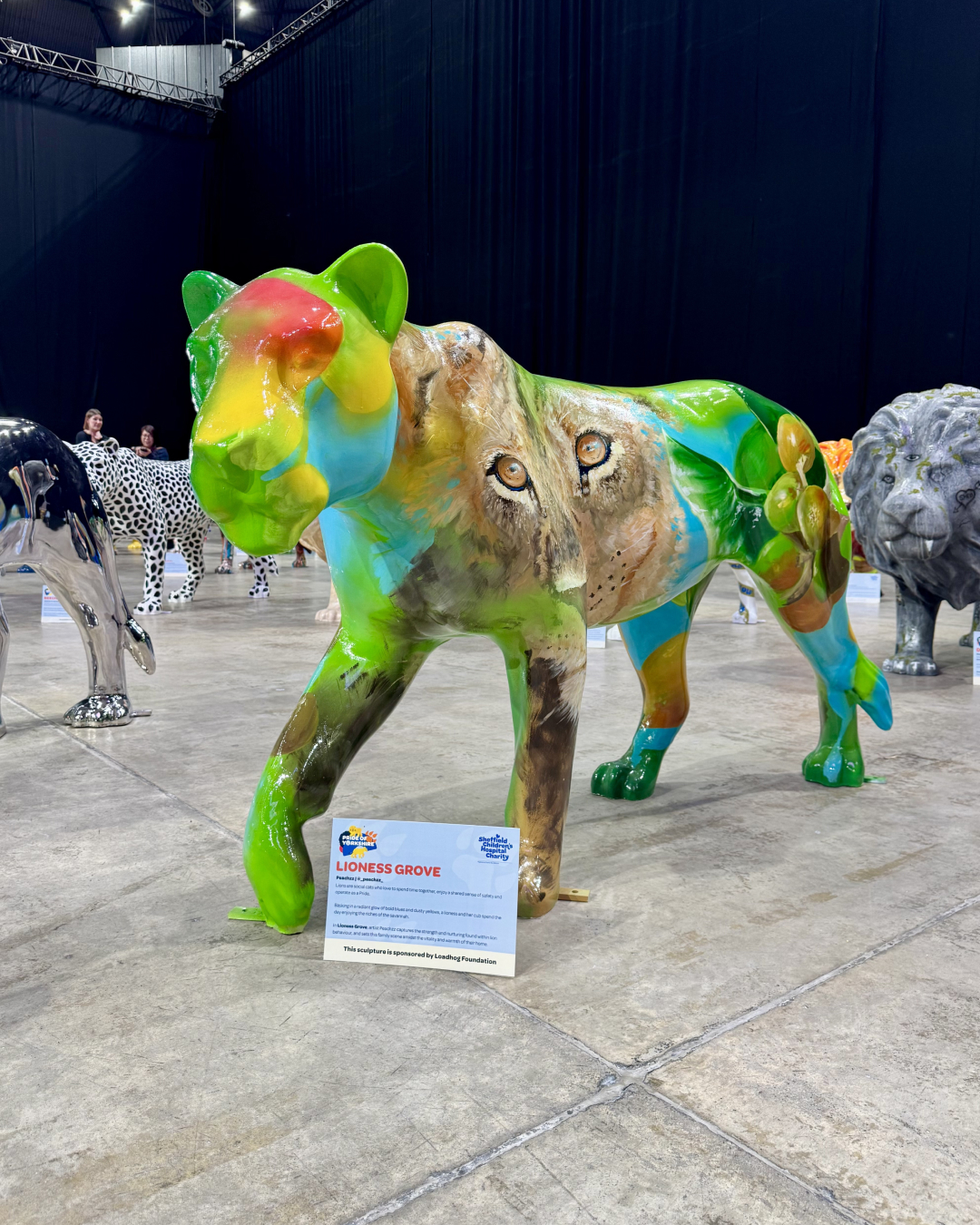 Loadhog Yorkshire’u – Lioness Grove