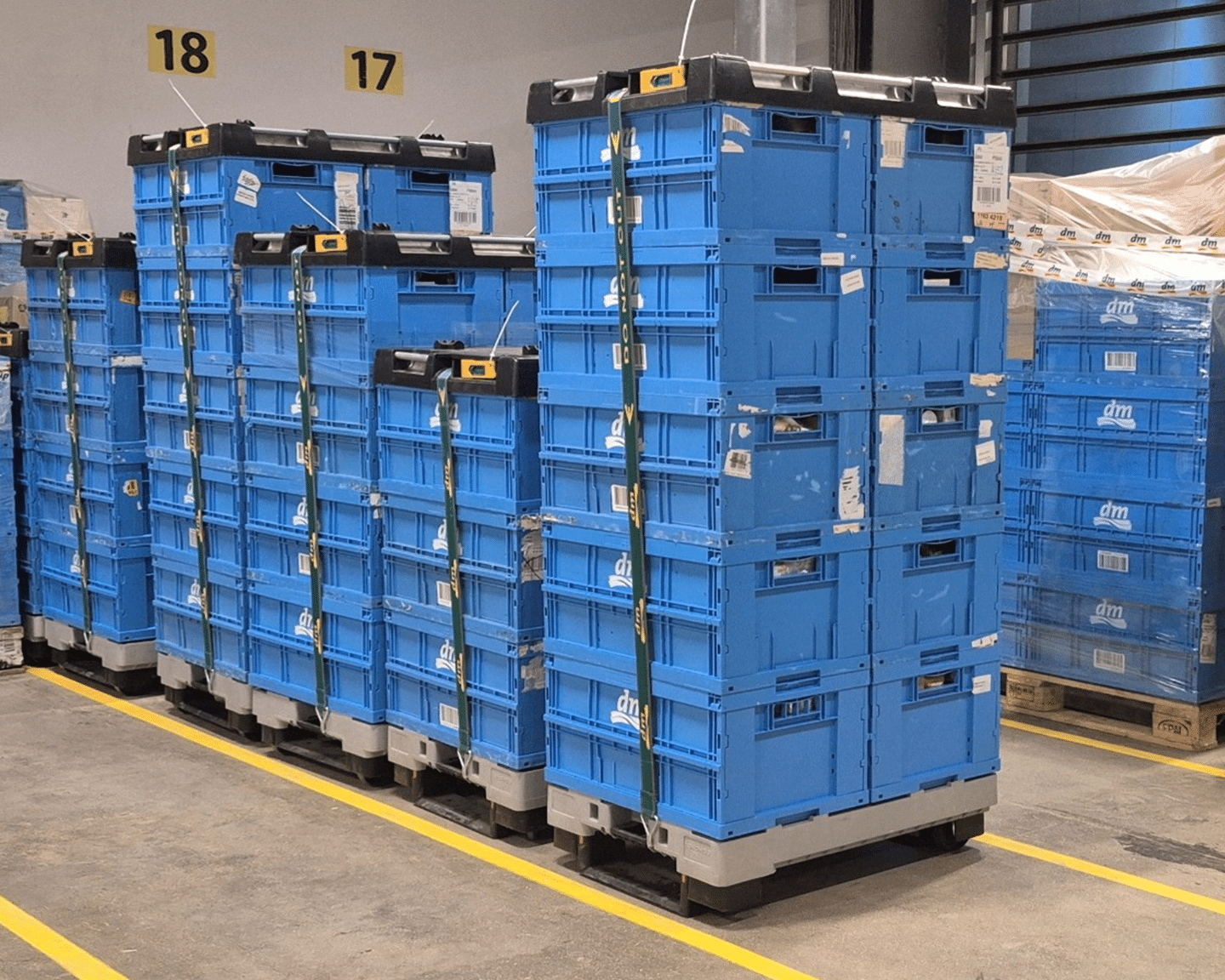 Retail Drugstore Replenishment System, Czech Republic