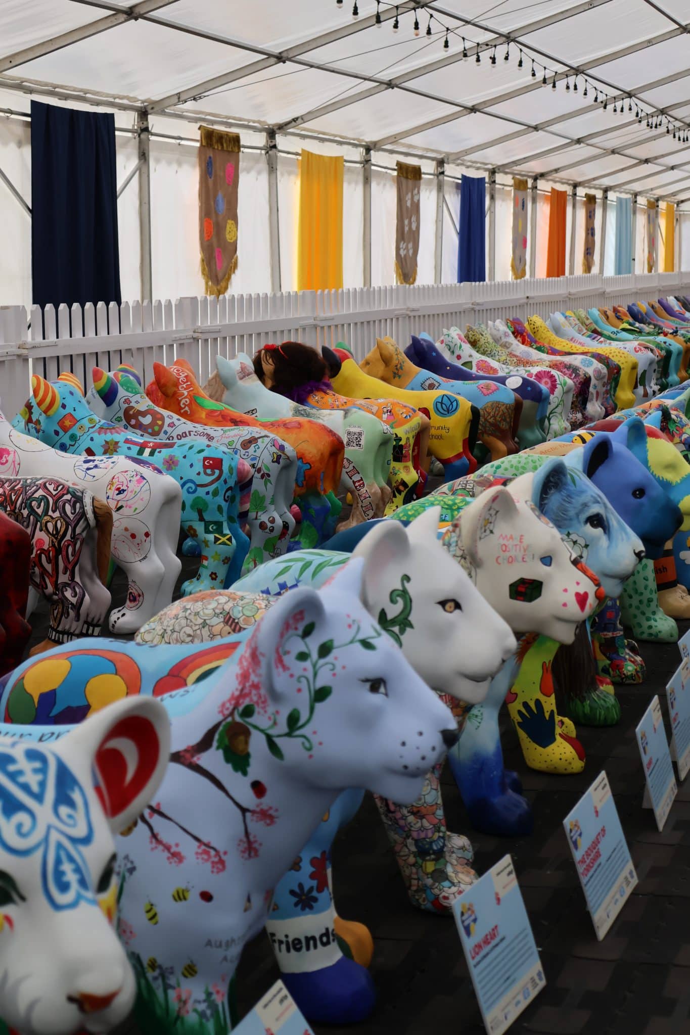 A Roaring Finale: Celebrating Loadhog Foundation’s Pride of Yorkshire Journey