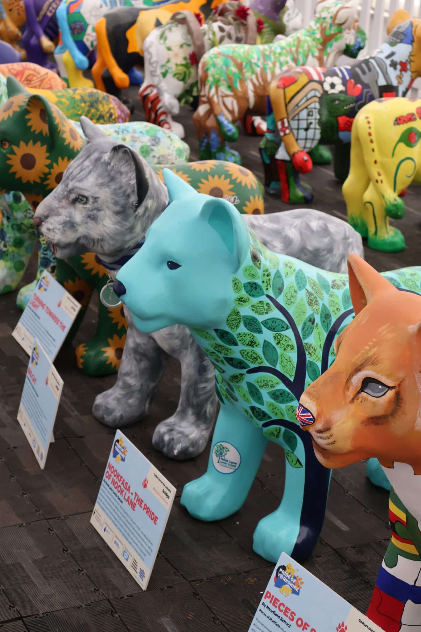 A Roaring Finale: Celebrating Loadhog Foundation’s Pride of Yorkshire Journey